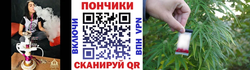 Каннабис планчик маркетплейс клад Клинцы закладка